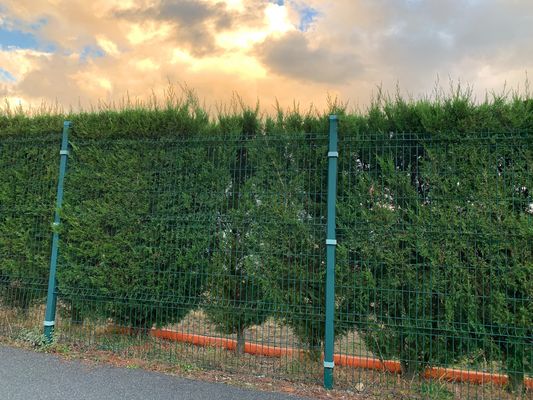 پنل 3d پوشش خوردگی سد سیم آویز