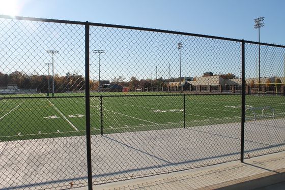 ارزان کشاورزی استفاده شده کار سنگین گالوانیزه سیم Cyclone شکل الماس شبکه زنجیره ای لینک حصار با PVC پوشش
