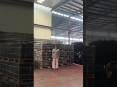 Clear View Trellis Spikes Security 358 Anti Climb Fence