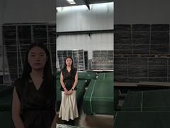 پالت ساخت حصار Clear View Anti Climb Security Fence